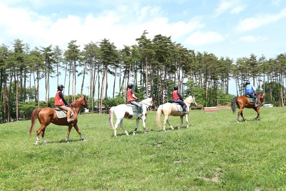 エンデュランス（Endurance riding）長距離耐久競技