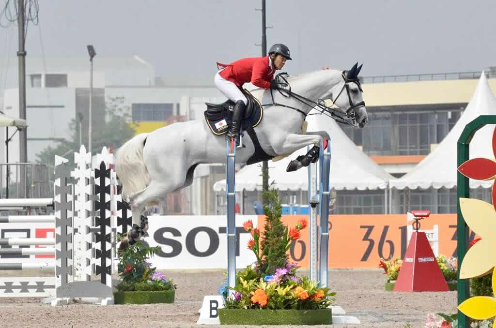 障害飛越競技（Show Jumping）